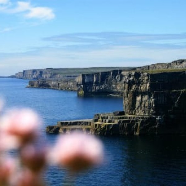 a bridge over a body of water
