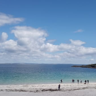 a group of people on a beach